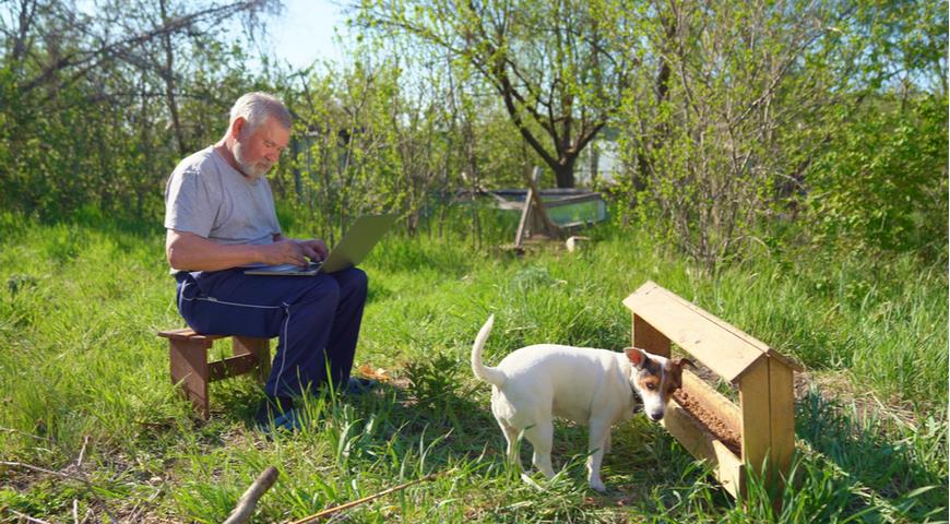 Рекомендуемые породы собак для пожилых людей