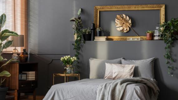 6 трендов для любителей комнатных растений в 2024 году