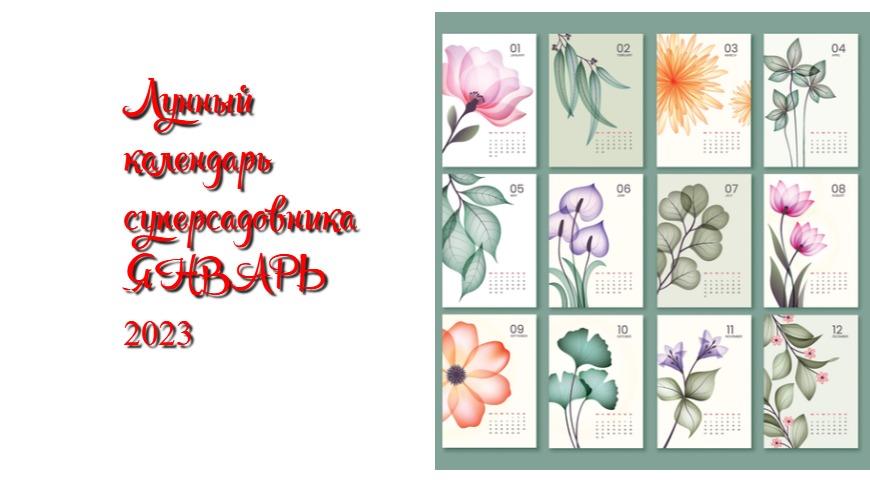Лунный календарь садовода, цветовода и огородника январь 2023