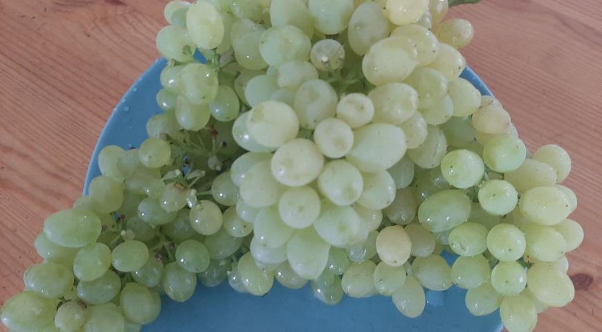 Как правильно обработать виноград гормоном гиббереллином, чтобы быстреесозревал и был сладким