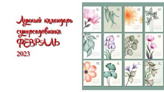 Лунный посевной календарь садовода, цветовода и огородника на февраль 2023 года