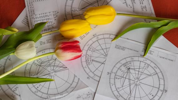 Каким для вас будет 8 Марта 2023, советы астрологов каждому знаку