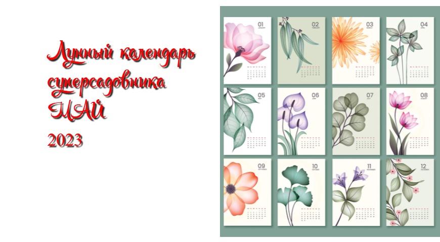Лунный календарь май 2023