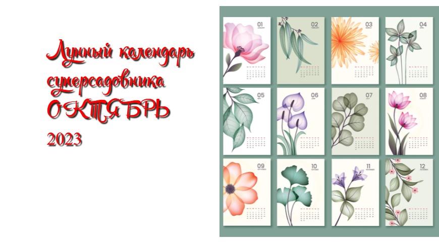 Лунный календарь садовода, огородника и цветовода на октябрь 2023 года