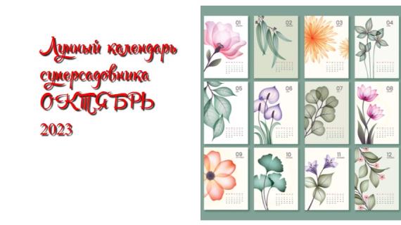 Лунный календарь садовода, огородника и цветовода на октябрь 2023 года