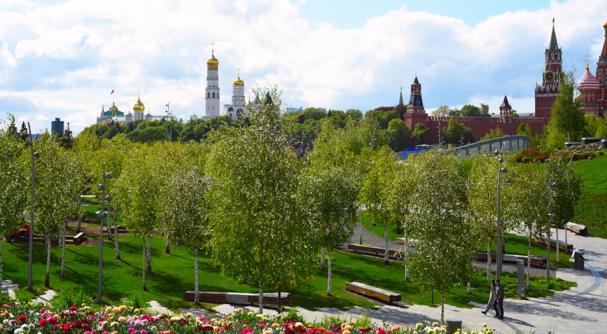 Кремль как на ладони, или для чего и как в Зарядье обрезают деревья 