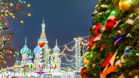 Какую елку срубят для украшения Москвы в 2024 году