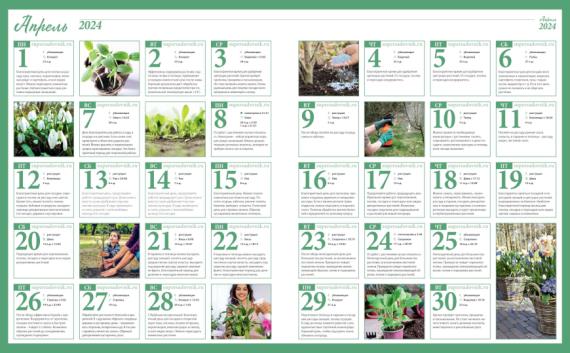 Лунный посевной календарь садовода, цветовода и огородника на апрель 2024 года