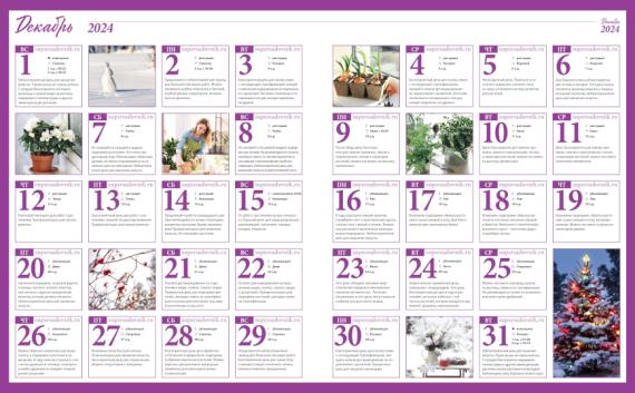 Лунный посевной календарь садовода, цветовода и огородника на декабрь 2024 года