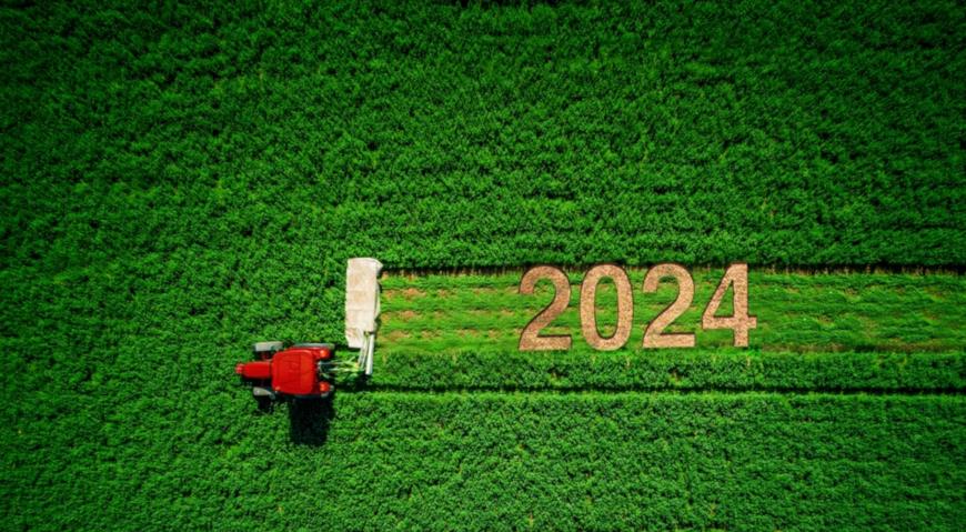 Високосный год 2024 для сада и растений