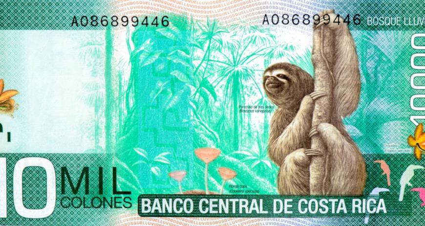 Изображение ленивца на денежной купюре