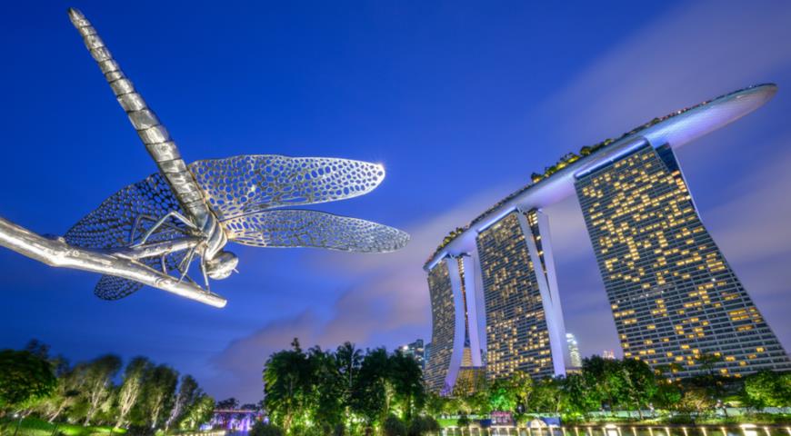  Скульптура стрекозы в парке By The Bay, Сингапур