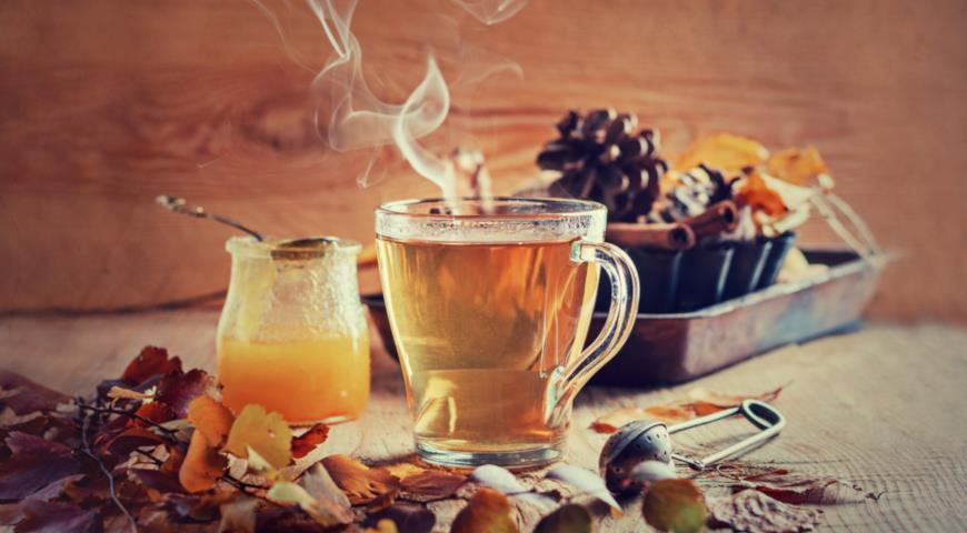 здоровье, чай с медом, полезные свойства растений