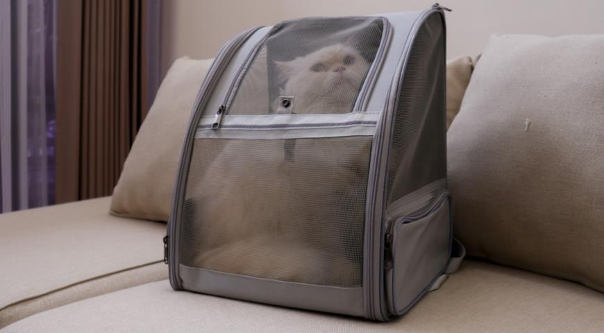 кошачья переноска тканевая по типу рюкзака