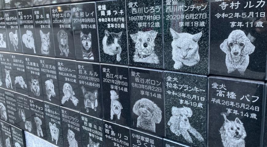Кладбище домашних животных в Японии