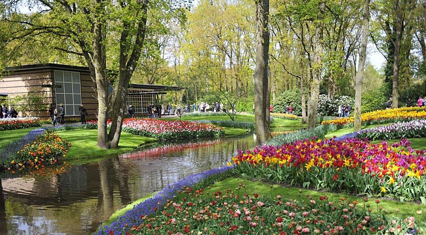 Парк Кекенхоф в 2024 году, Keukenhof, павильон Юлиана