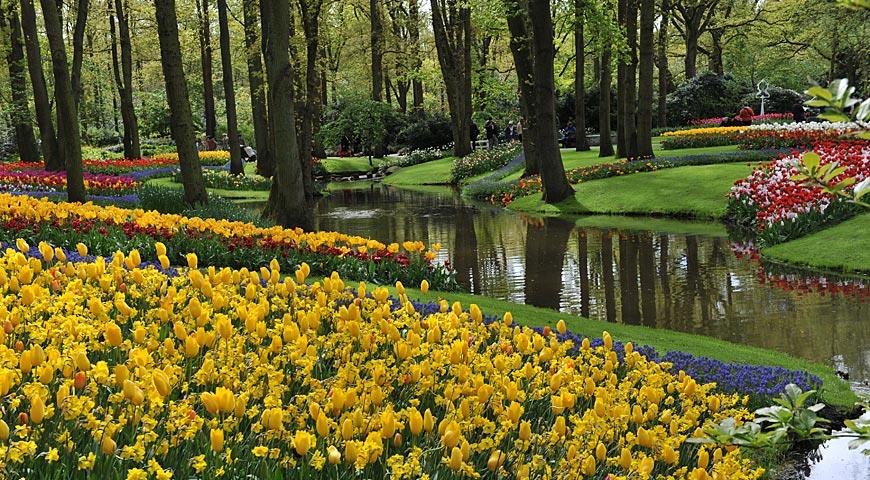 Парк Кекенхоф в 2024 году, Keukenhof