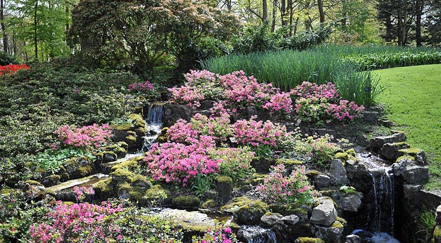 Парк Кекенхоф в 2024 году, Keukenhof