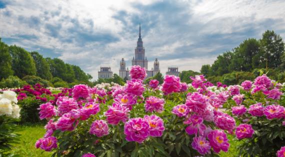 Самые интересные садовые и цветочные выставки июня, куда пойти в начале лета 2024 года