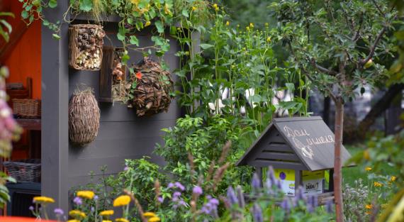 Программа Фестиваля "Сады и люди" c 9 по 18 августа 2024 года