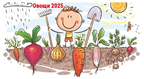 Самые интересные новинки семян овощей на 2025 год, обзор
