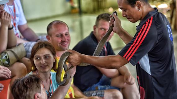 Змеи и змеиные фермы