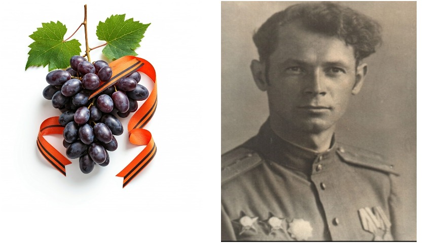 Павел Яковлевич Голодрига, виноградарь, герой ВОВ