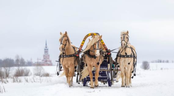 Где провести новогодние каникулы с детьми: лучшие музеи, фермы и кафе с милыми животными