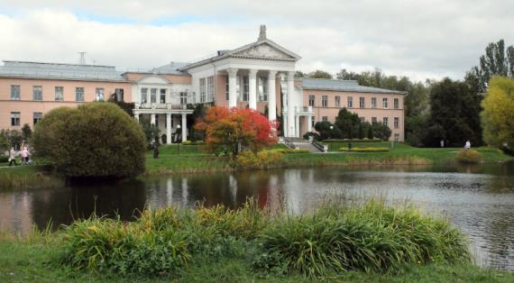 Самые интересные садовые вебинары в декабре 2025: от искусственных оснований до южных плодов в северном климате