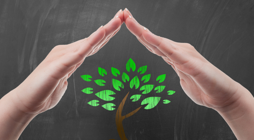 Семинар по защите растений