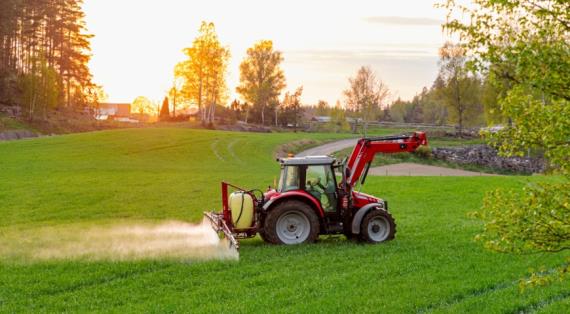 Некоторые растения способны удалять загрязнения из почвы