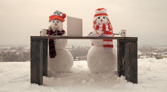 Декабрь в Клубе "Цветоводы Москвы": учимся у лучших