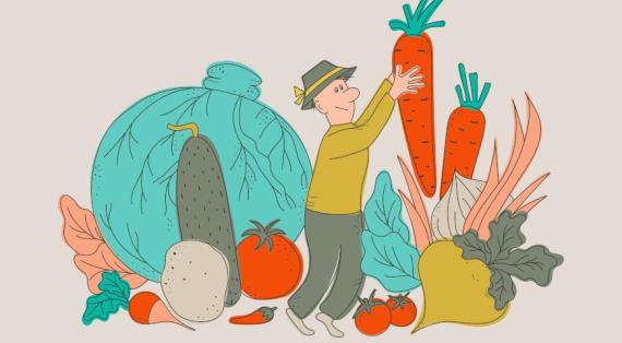 Самые интересные новинки семян овощей на 2026 год, обзор