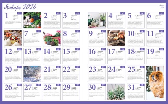 Лунный посевной календарь садовода, цветовода и огородника на январь 2026 года