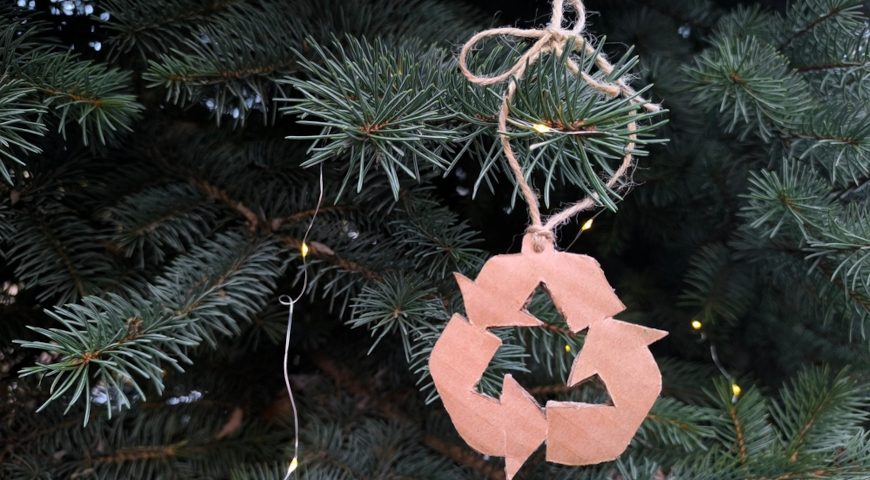 Новогодние елки и проблемы экологии