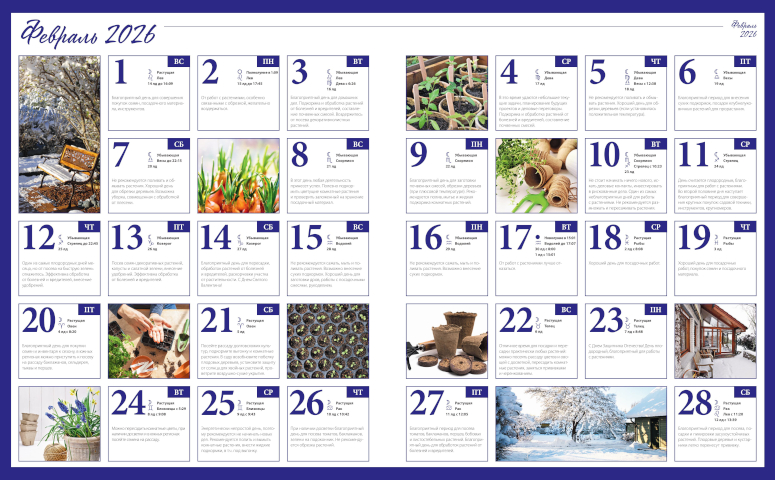 Лунный посевной календарь садовода цветовода и огородника на февраль 2026 года