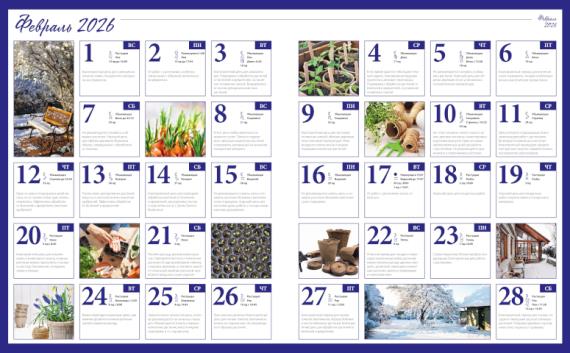 Лунный посевной календарь садовода, цветовода и огородника на февраль 2026 года