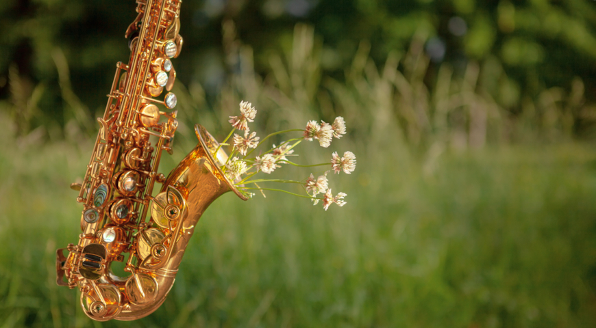 Сад Джаза для Дикой Мяты 2026