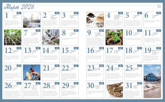 Лунный посевной календарь садовода, цветовода и огородника на март 2026 года