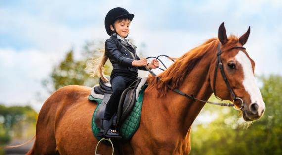 Ребенок наездник, конный детский спорт