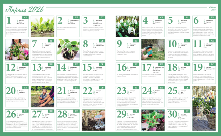 Лунный посевной календарь садовода цветовода и огородника на апрель 2026 года