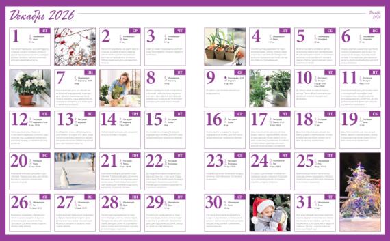 Лунный посевной календарь садовода, цветовода и огородника на декабрь 2026 года