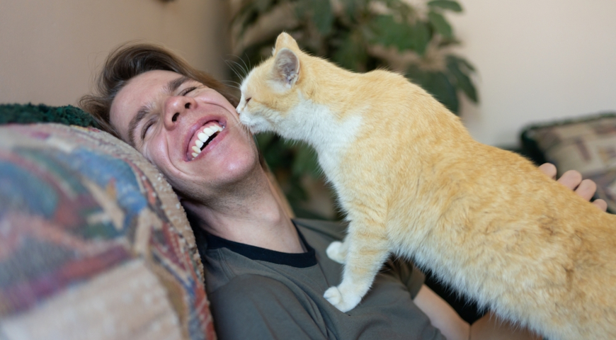 Общительные и дружелюбные породы кошек