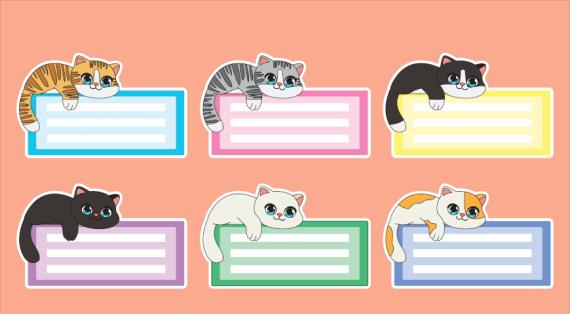 Почему имя Мурка не так актуально и как лучше назвать кошку, советы эксперта