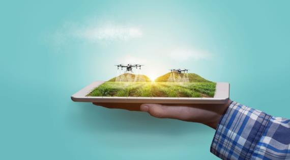 Сад будущего: нейросети учатся слушать растения и управлять поливом