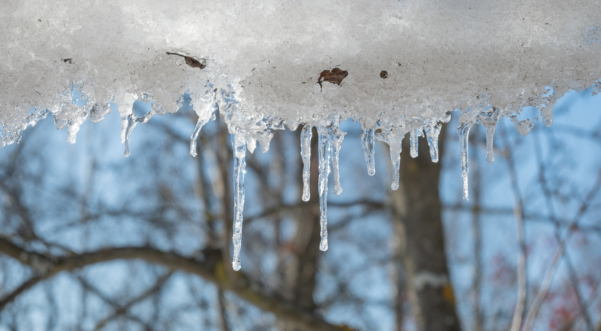 Весенняя капель, в марте тает снег в саду