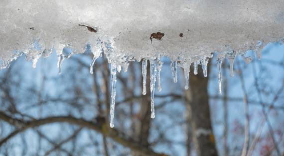 Срочно в марте: спасаем деревья от вымокания и превращаем снег и талую воду в ценный ресурс