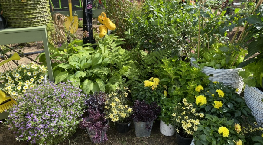 Фестиваль "Сад Просто"-2025, Сад "Оазис", автор Степочкина Светлана