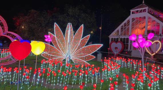 Главные садовые выставки Клуба "Цветоводы Москвы" в 2026 году