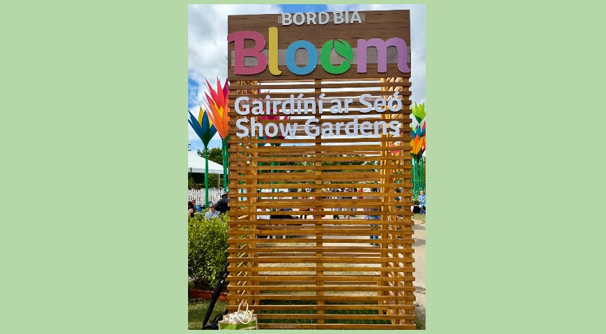 Садовый фестиваль Bord Bia Bloom 2026, Дублин